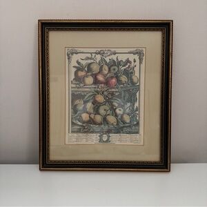 Robert Furber Twelve Months Of Fruit April -Vintage Custom Framed Print 11x12.5